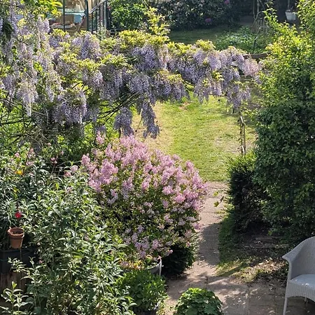 Mit Gartenblick * Schleswig