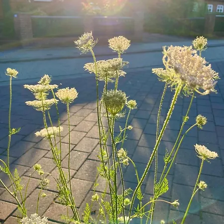 Mit Gartenblick